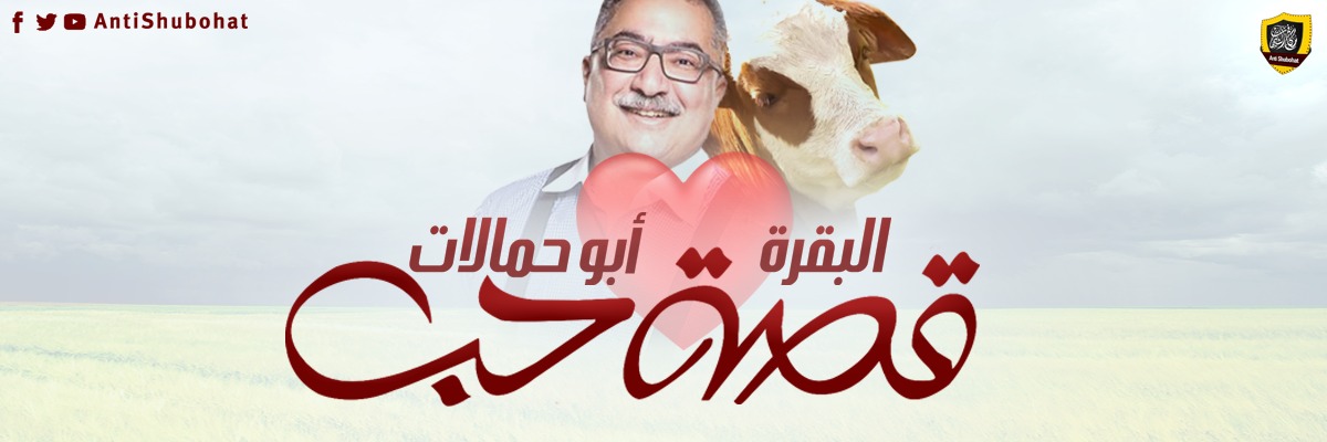 قصة حب بين البقرة و أبو حمالات