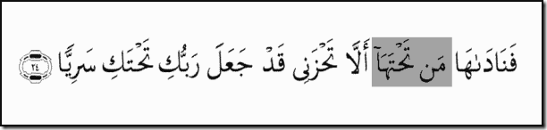 019.024 شعبة 019.024 شعبة