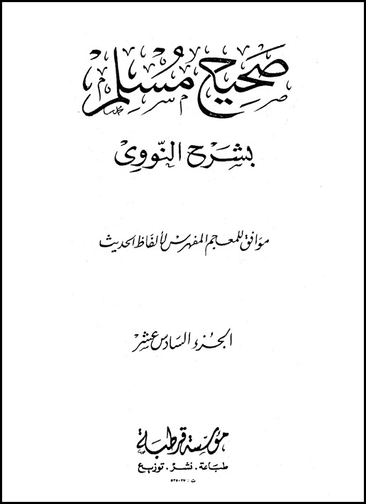 غلاف 16